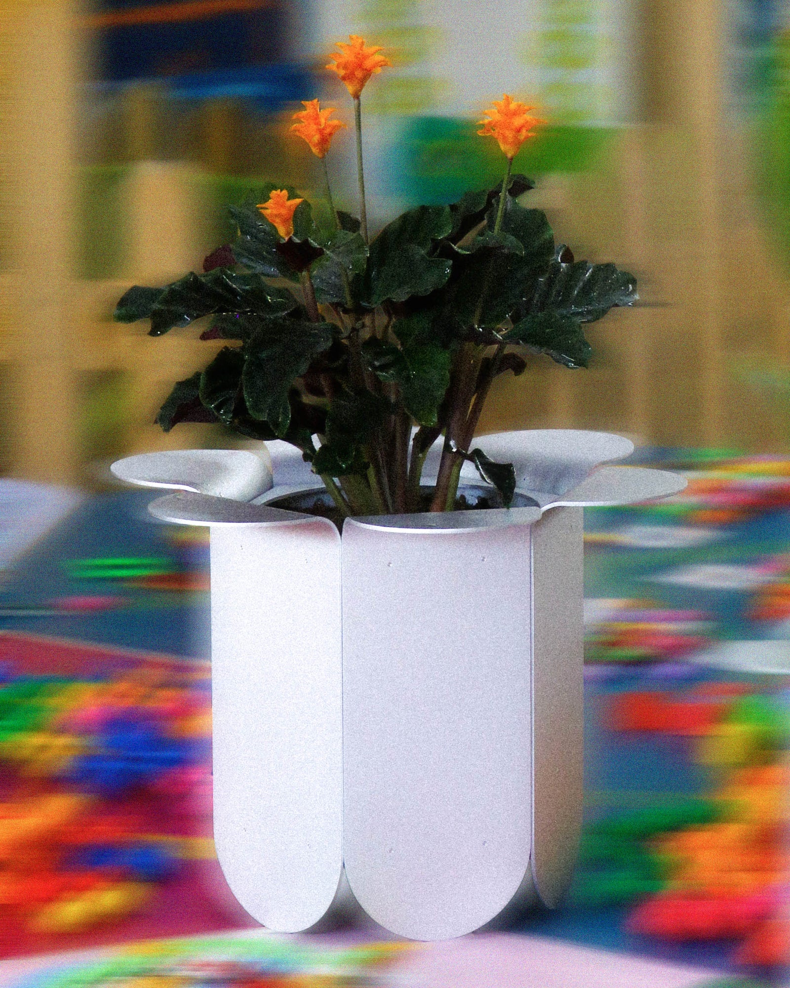 omni pot (L) - Product image
